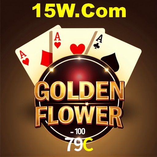 Casino VIP 79C