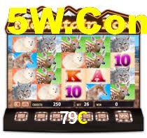 79C,79c.com