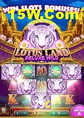 Provedores de Jogos 79C