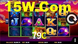 Premium Interface 79C